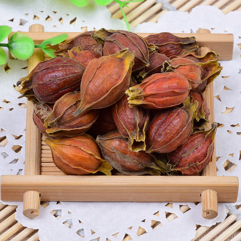 精选特级红桅子 黄果 黄栀子 山栀 枝子中药材花茶 白蟾可磨粉50g