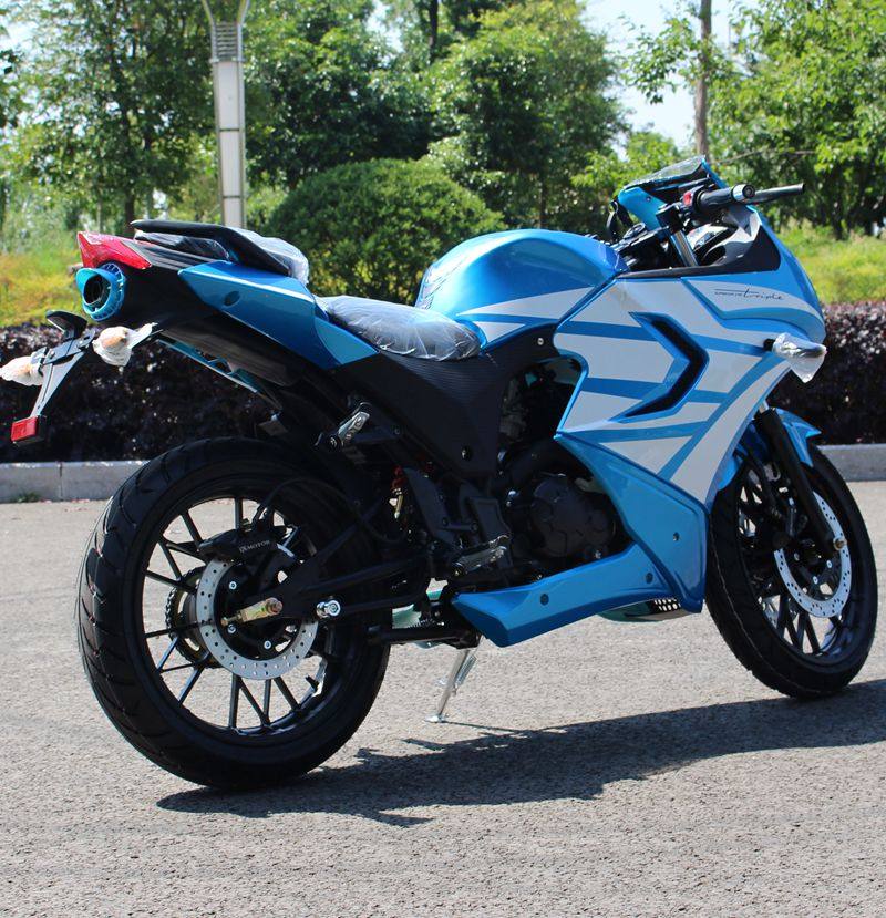 北极光摩托车150cc250cc摩托车街跑赛车摩托车地平线大跑车趴赛