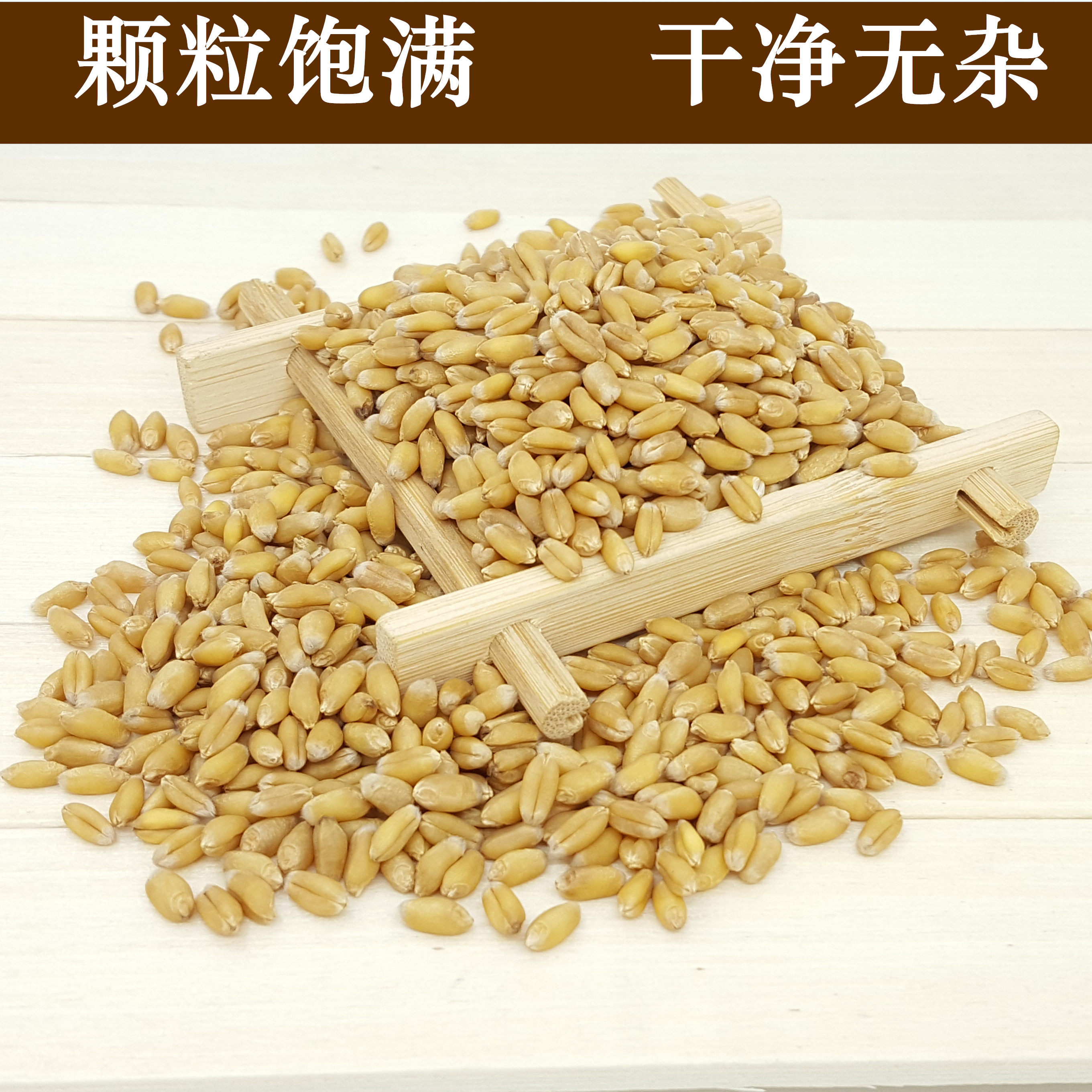 新鲜无硫精品淮小麦500克颗颗饱满新货 甘麦大枣汤