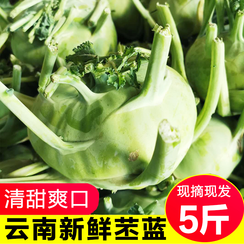 云南应季新鲜蔬菜苤蓝5斤农家自种当季叶菜类甘蓝芥兰芥菜头包邮