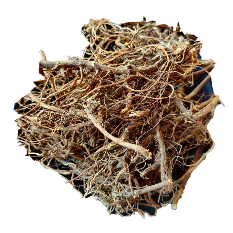 野生艾草草头浓香艾根小艾叶根广西老艾草根其他药食同源食品