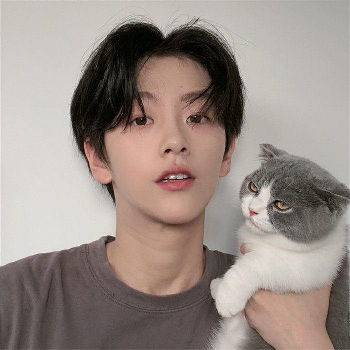 网红同款假发男中分刘海短卷发韩版帅气整顶假发