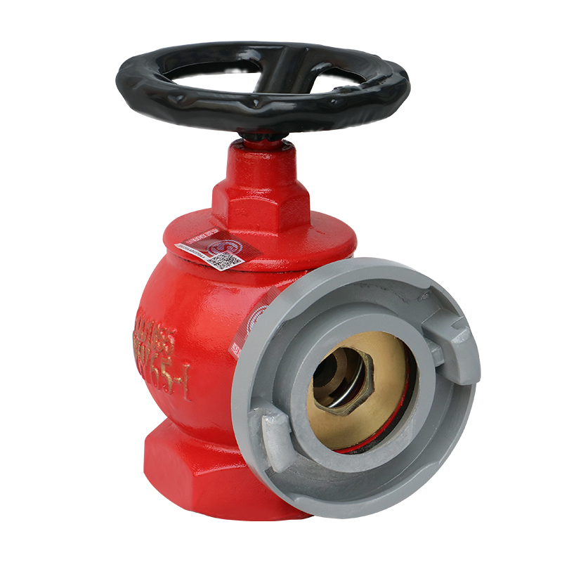 开关室内消防消火栓sn65国标消防栓栓头阀门水带消防水带