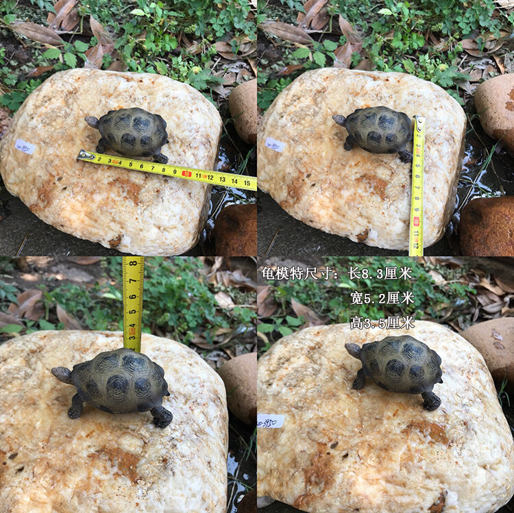 特大乌龟晒台石头爬宠晒背天然鹅卵石龟垫步石龟缸浮岛爬台繁殖屋