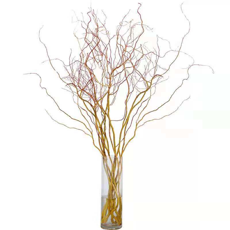 鲜枝养龙柳鲜枝活龙柳水培植植物水培干支雪柳时令草本花卉