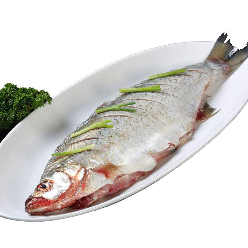 翘嘴新鲜鱼鲜鱼白鱼翘嘴巴撅嘴大白淡水鱼1斤淡水鱼类