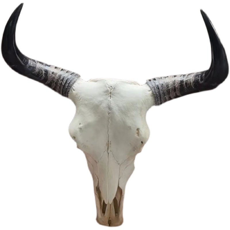 牛头牦牛天然头骨工艺品背景墙挂件装饰品真牛标本壁饰