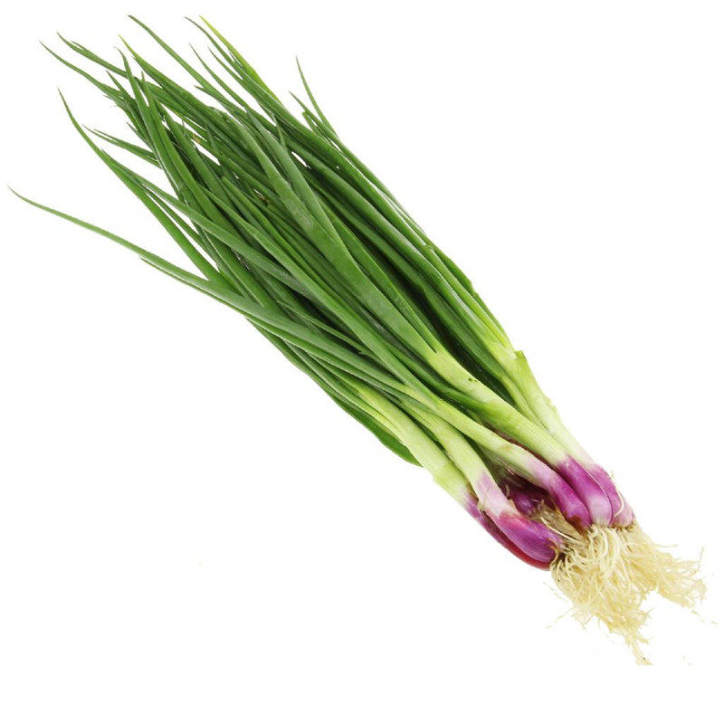 小葱红根小香香葱种子四季春秋秋冬季盆栽蔬菜家庭园艺种子