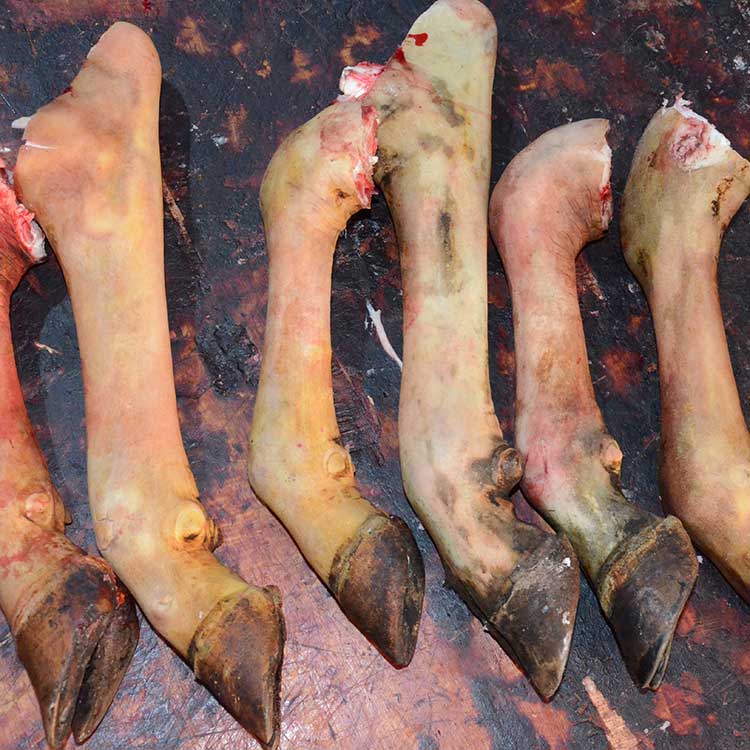 贵州新鲜带皮小黄牛带骨生牛脚牛蹄筋肉五斤顺丰包邮