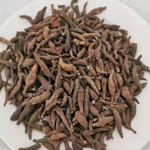 两头尖中药材精选无硫无添加红皮银莲花竹节香附草乌喙500克