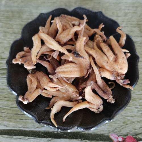 手掌中药材精选正品纯天然佛手五指手儿阴阳草掌其他药食同源食品