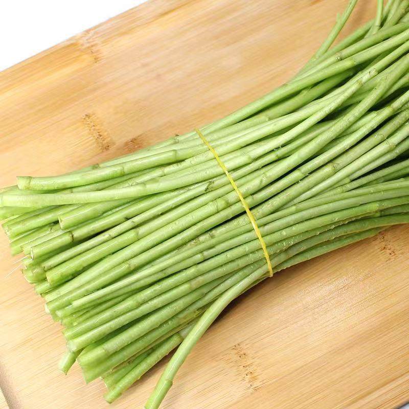 新鲜芦蒿蔬菜500g农家自种蓠蒿水蒿泥蒿藜蒿其它