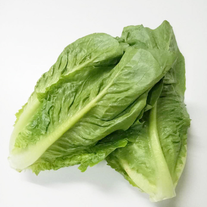 新鲜生菜蔬菜西餐罗马罗纹即食沙拉罗文500g其它