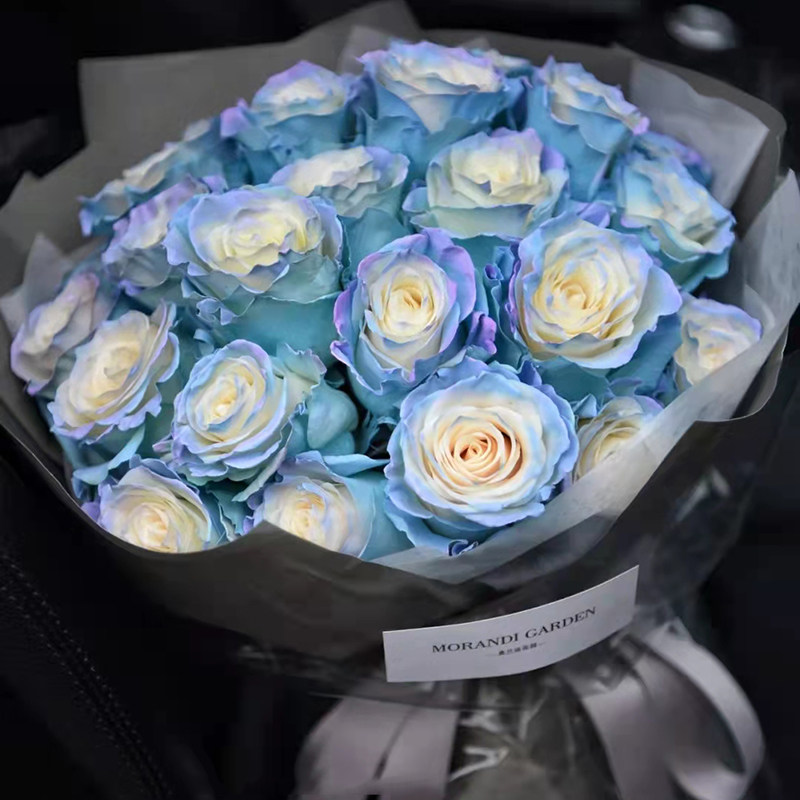 520进口厄瓜多尔欧若拉玫瑰上海鲜花同城北京杭州深圳广州