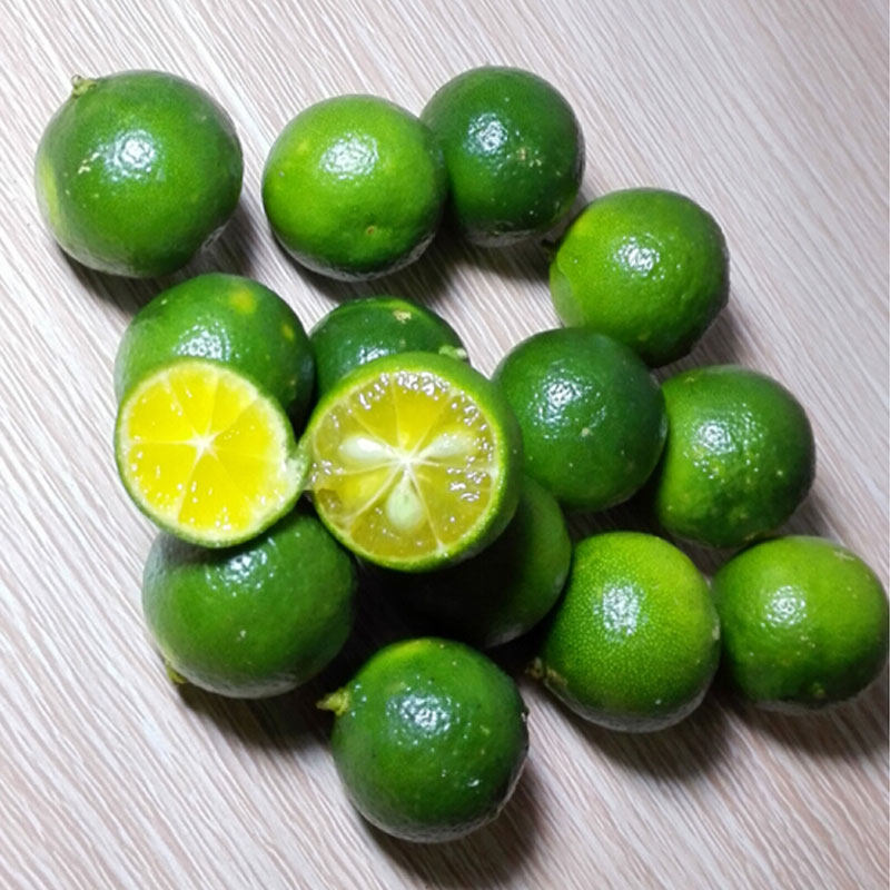 海南金桔小橘子新鲜一级水果果奶茶店优质精选柠檬
