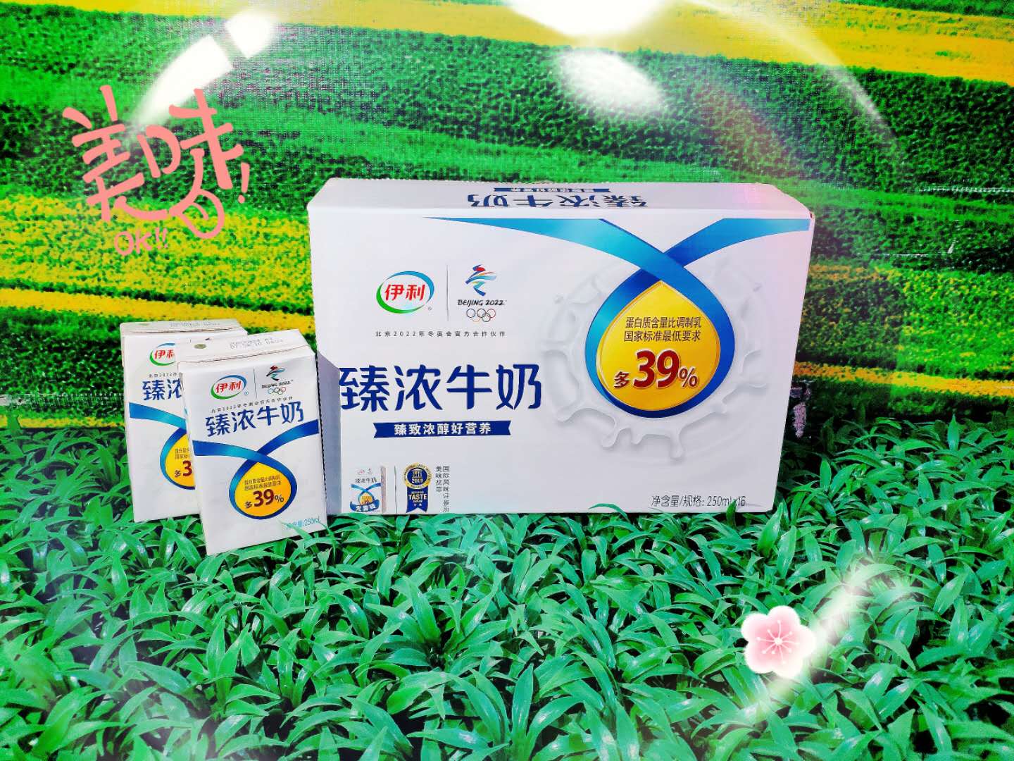 伊利臻浓牛奶250ml16盒调制乳(风味奶)