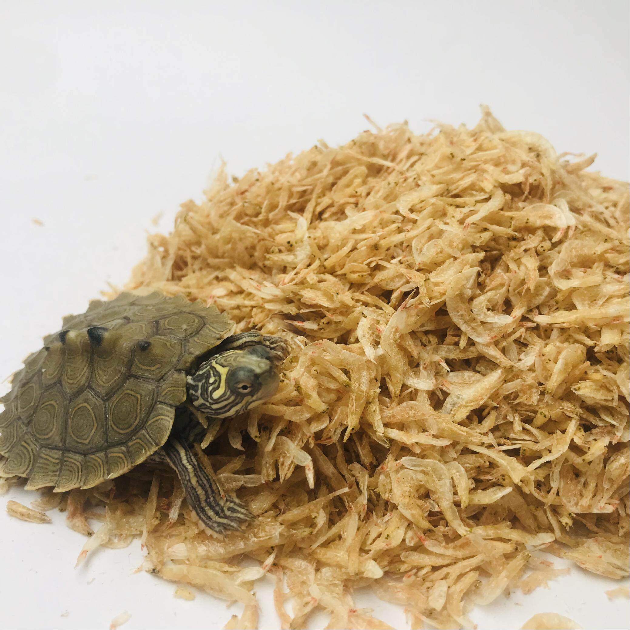 乌龟饲料龟粮虾干巴西龟草食物半水幼龟观赏龟