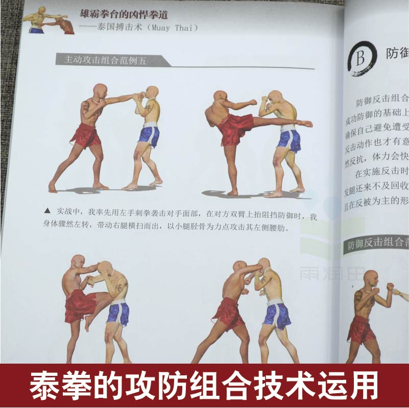 泰国搏击术速成防身不求人 武功秘籍 泰国搏击术教学 图解格斗技巧