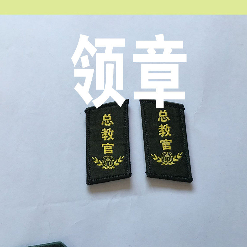 军训总教官臂章定做 国旗班 拓展夏令营臂章 领章 肩章 胸条定制