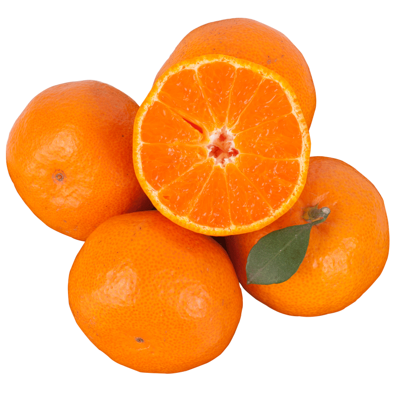 7a级贡正宗浙江台州临海涌泉蜜桔10斤新鲜桔子