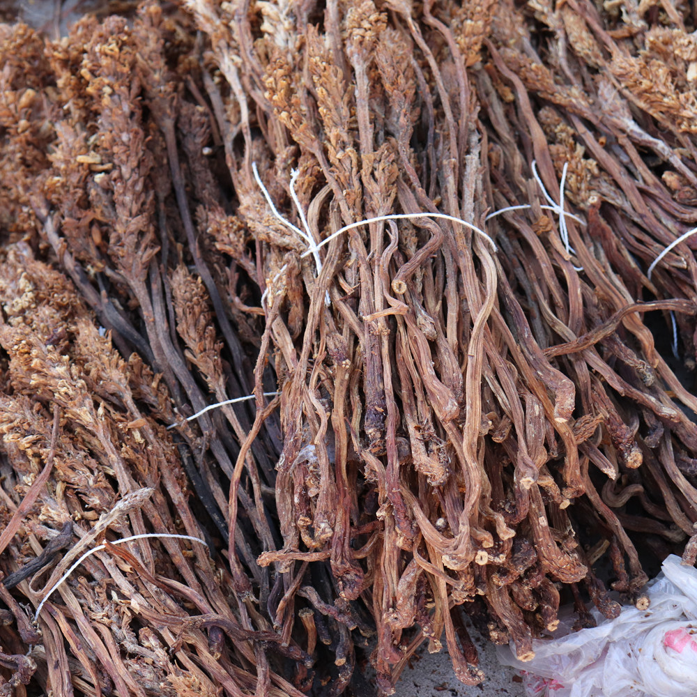 不老回春春草100克草苁蓉泡酒料煲汤汤料列当不老草