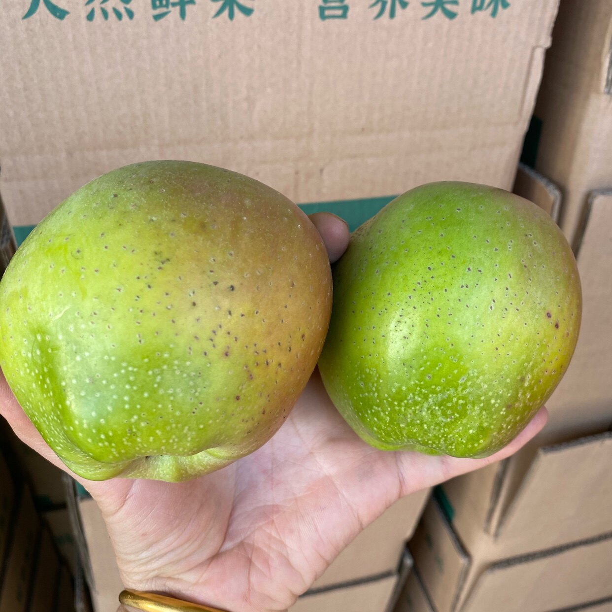 苹果青苹果正宗老式印度2021新苹果冰糖糖心印东苹果