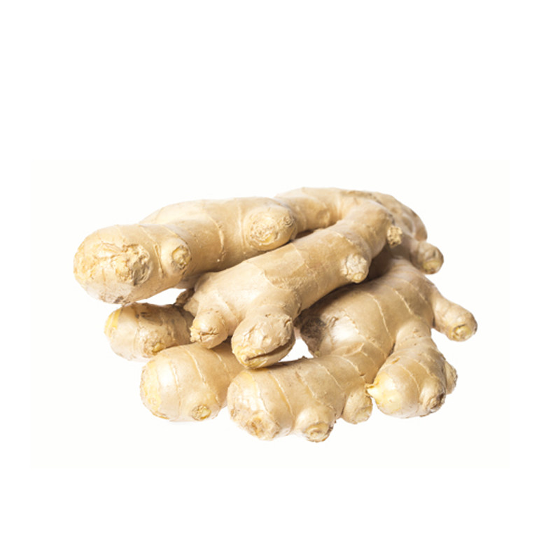 绿源禾心 有机大姜 特殊品种 贡姜 味纯正 1盒 总重500g