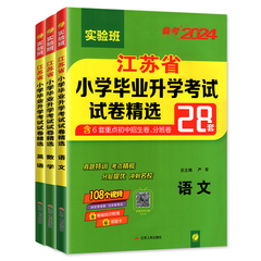 小升初2024江苏省小学毕业升初中考试卷精选28套卷语文数学英语2023春雨六年级下升学考试系统总复习资料辅导书苏教版真题卷必刷题价格比较