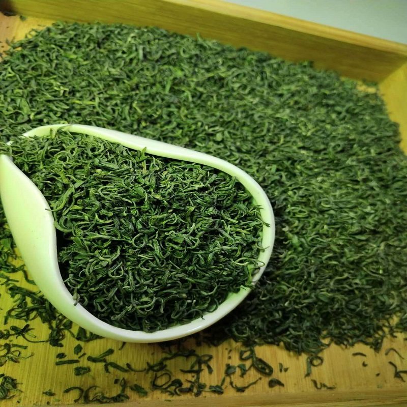 清茶 现货2023新茶保康绿茶高山云雾毛尖手工炒青店垭茶叶500g散装