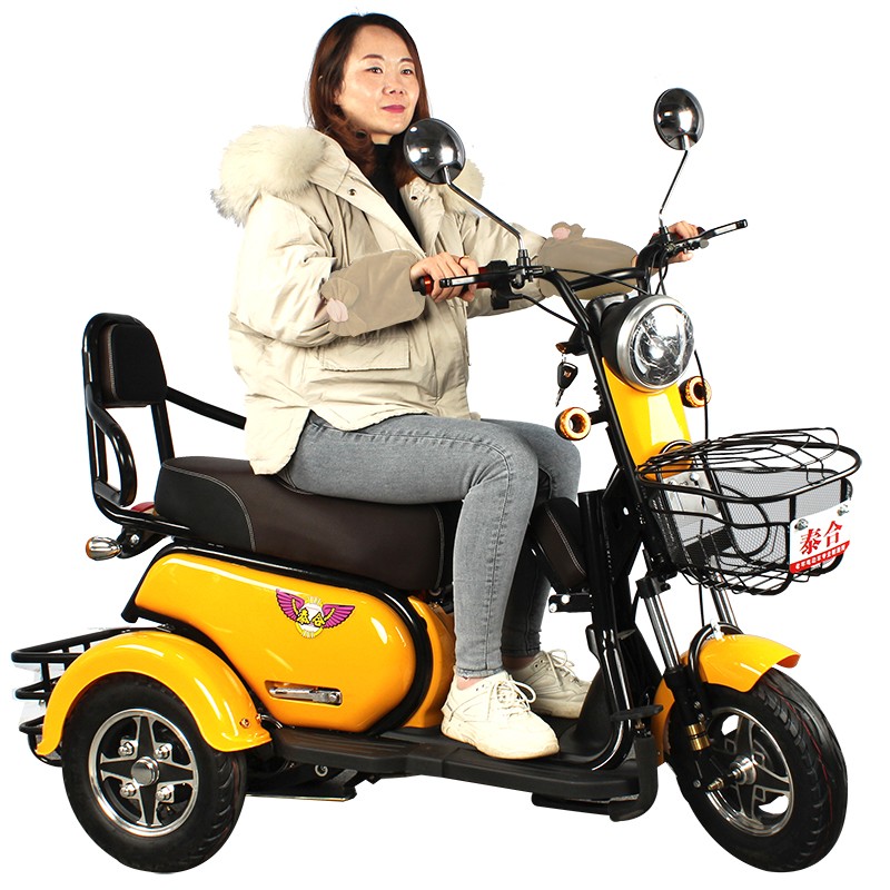小型老人老年女性双人电瓶三轮车泰合电动三轮车接送孩子家用新款