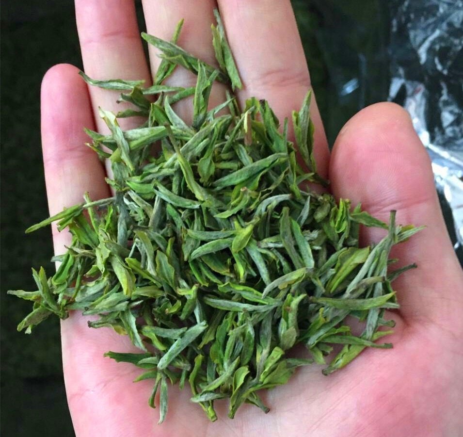 霍山黄芽2022新茶黄特级礼盒盒装明前春茶安徽黄茶