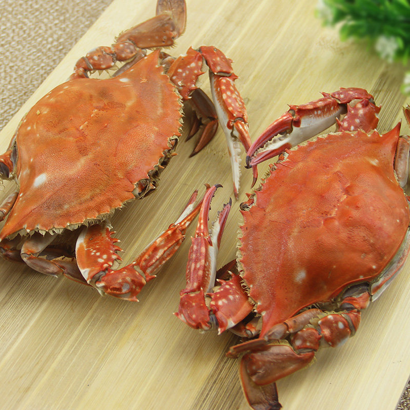 舟山海鲜野生红膏蟹冻梭子蟹品冰鲜冷冻全母红膏螃蟹冻蟹2斤34只
