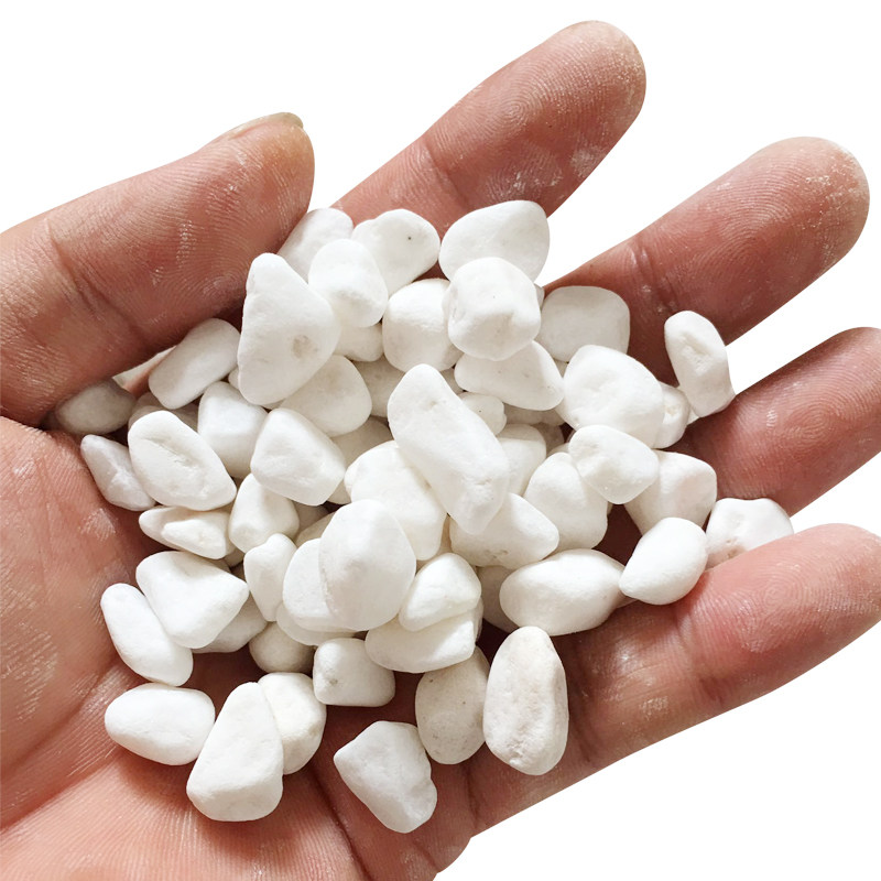 50斤小白白石子山水园林石头铺路铺地白色庭院其它园艺用品
