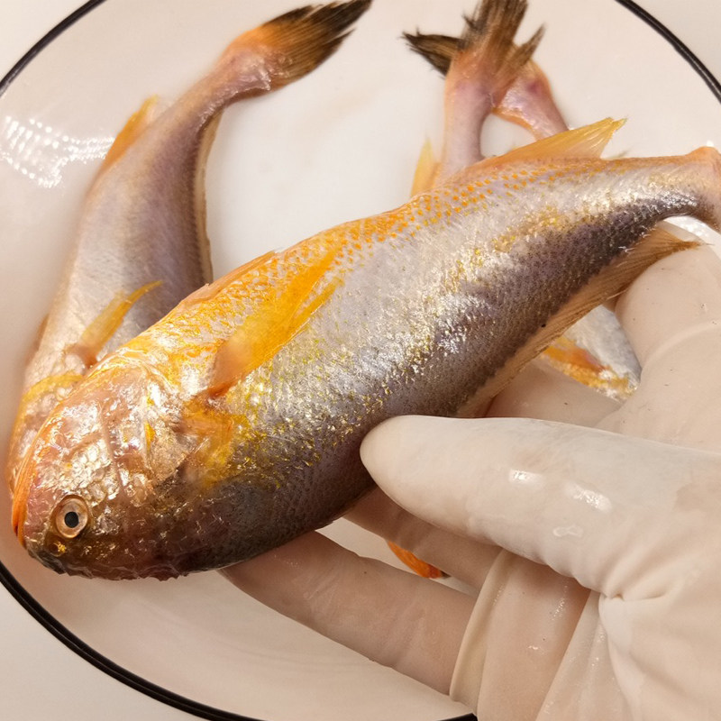 梅子子鱼大连大头宝鱼新鲜冷冻梅童4斤海鱼黄鱼
