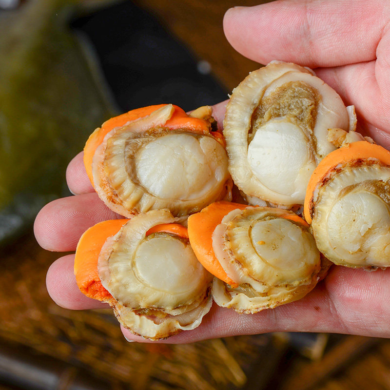扇贝肉冷冻新鲜海鲜超大扇贝肉去内脏500g*2野生扇贝现剥生鲜袋装