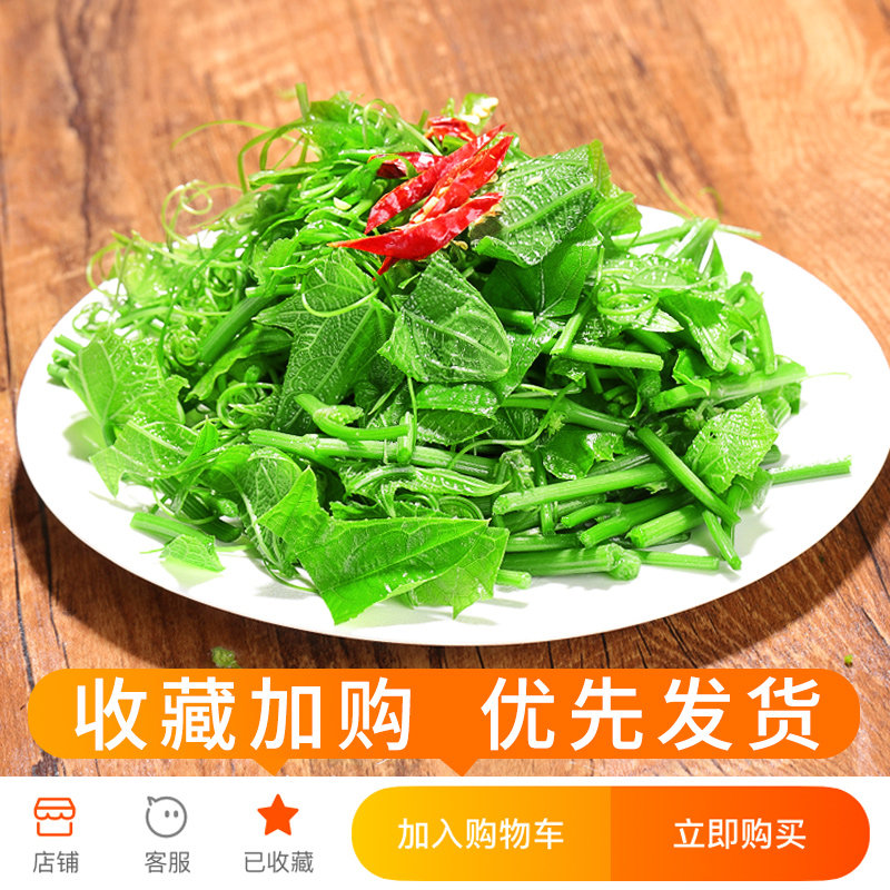 新鲜当季瓜尖包土耳蔬菜自种农家应当佛手须菜其它
