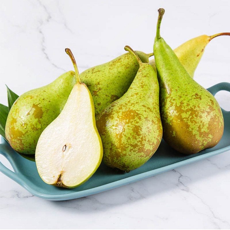 新鲜进口比利时啤梨大果礼盒盒装8斤原箱荷兰梨