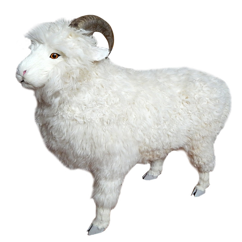 仿真羊模型玩具羊摆件毛绒真皮可爱假羊仿真大绵羊摄影道具小绵羊