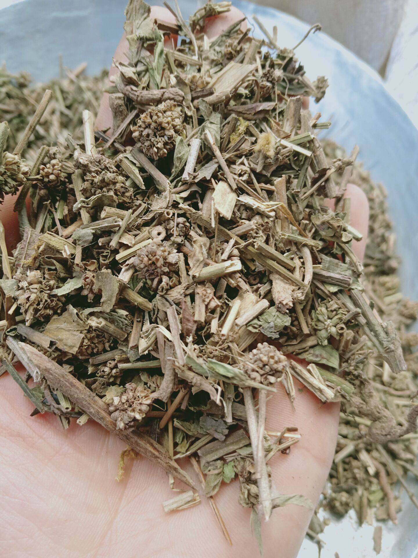 中药材麝香草毛麝香500克包邮麝香草饼草蓝花草毛射香五凉草