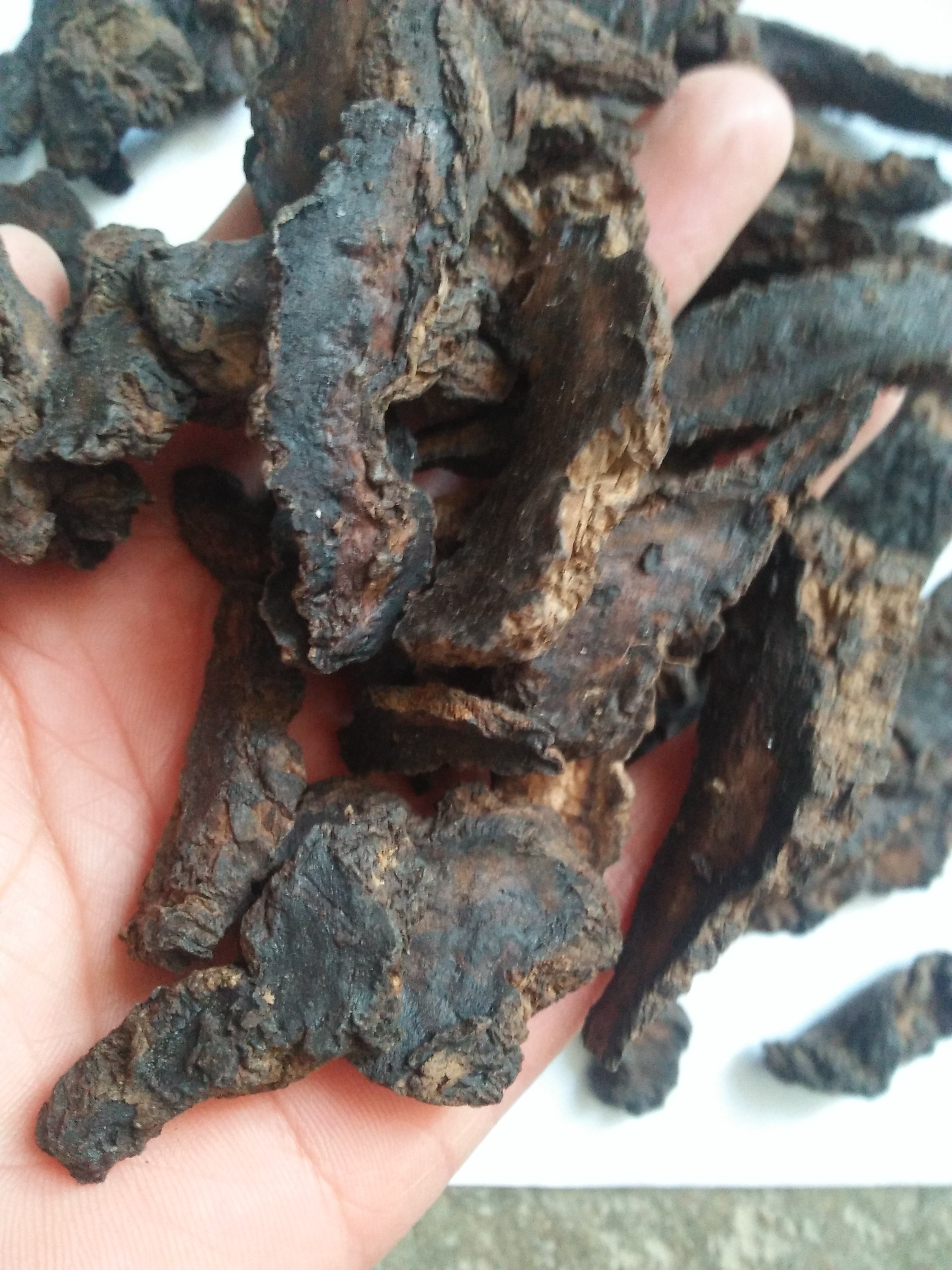 生地黄中药材熟地怀生地新货河南500克散装实物自拍