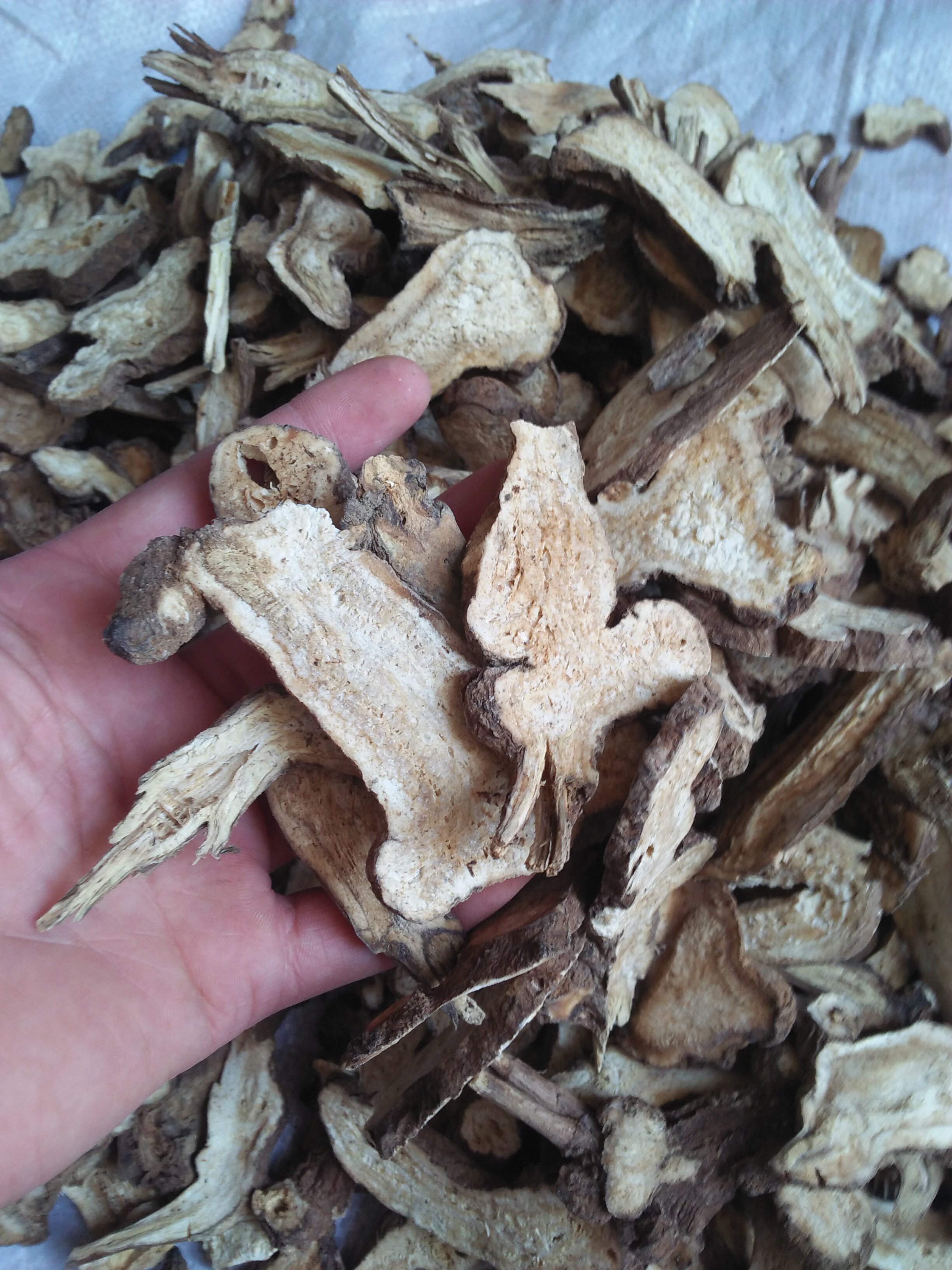 乌术粉原料何首乌粉白术粉500克26元新鲜现磨粉货全另有苍术粉