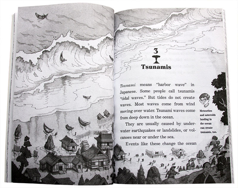 英文原版科普绘本magictreehouse神奇树屋4本原版其它