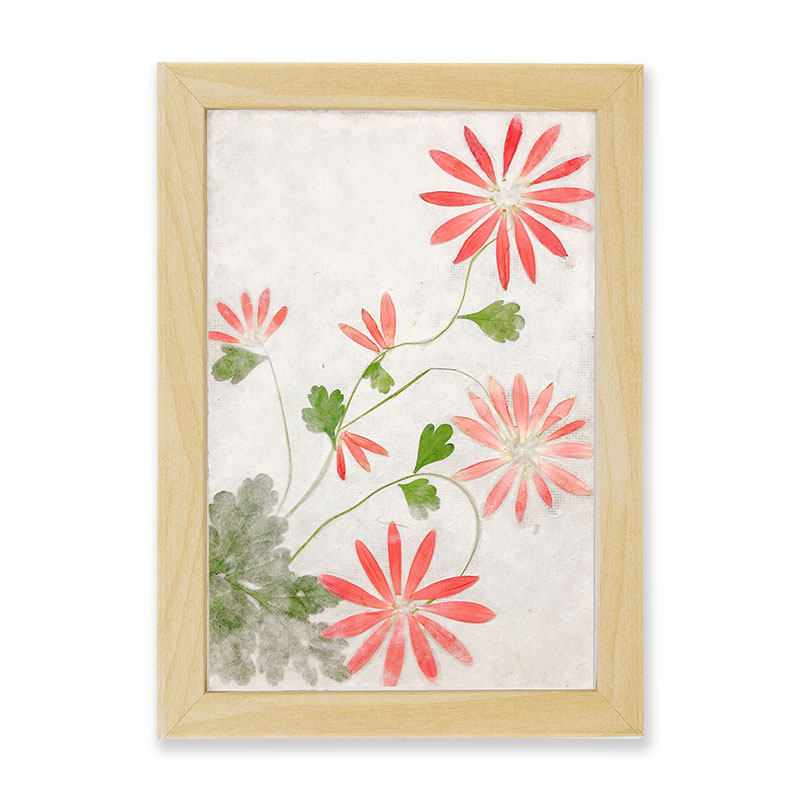 古法手工造纸术diy工具a4木网框花草纸天然其他手工制作