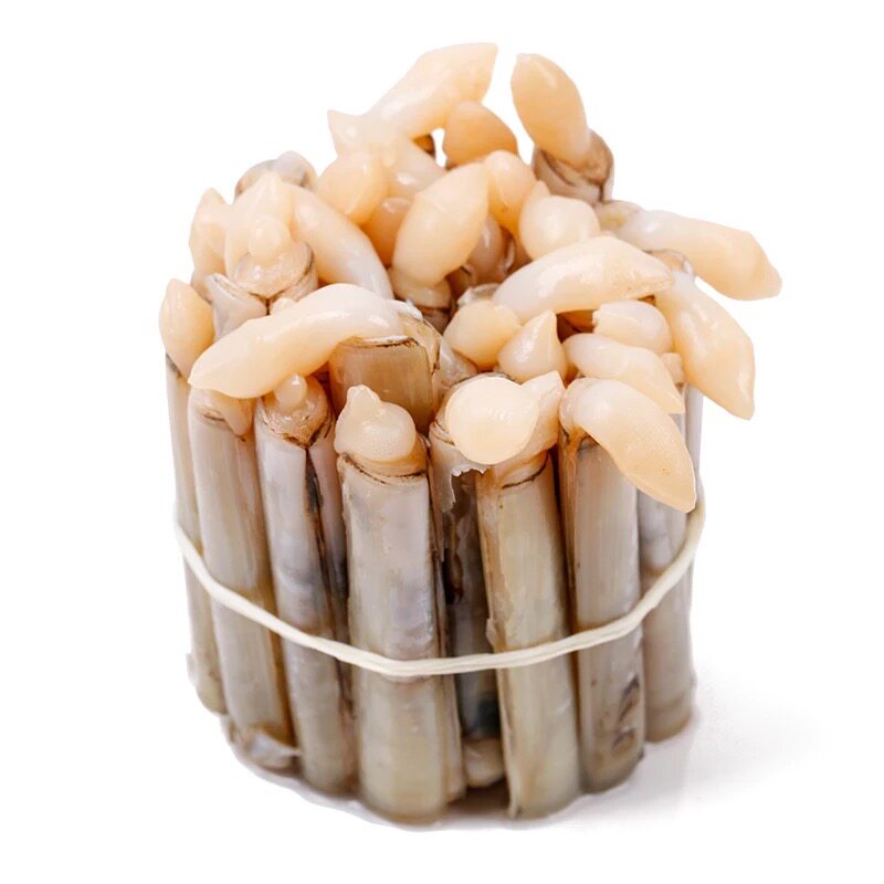 竹节海鲜贝类马刀西施手指泥蛏鲜活海野生王野生蛏子