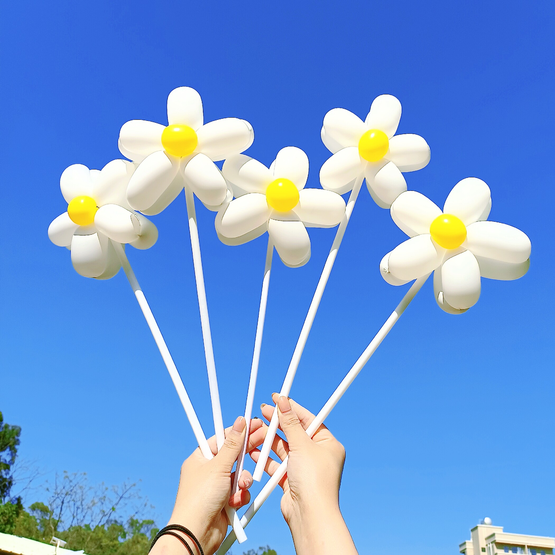 气球小红书同款小花花朵花束春游野餐生日户外气球