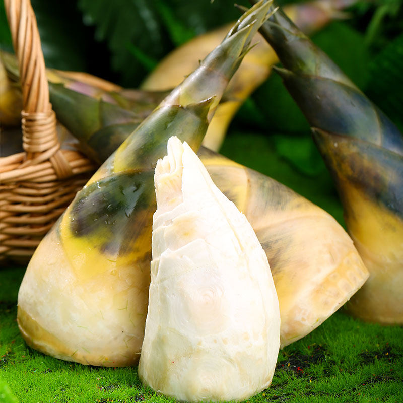 新鲜5斤蔬菜鲜笋绿竹带壳现挖福建时令马蹄竹笋