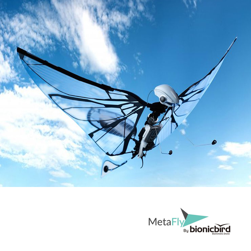 法国bionicbirdmetafly仿生机械昆虫飞行器体验自由飞行创意礼品