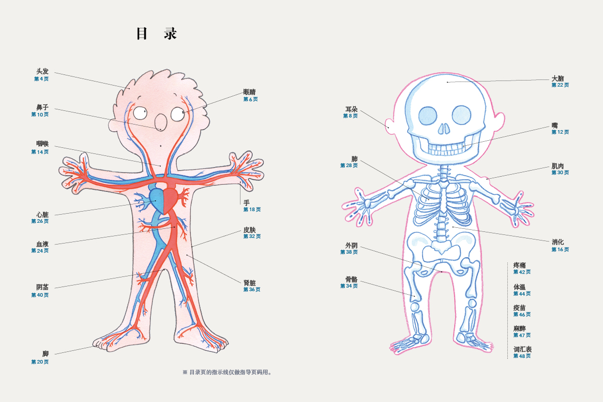 身体的秘密简笔画图片