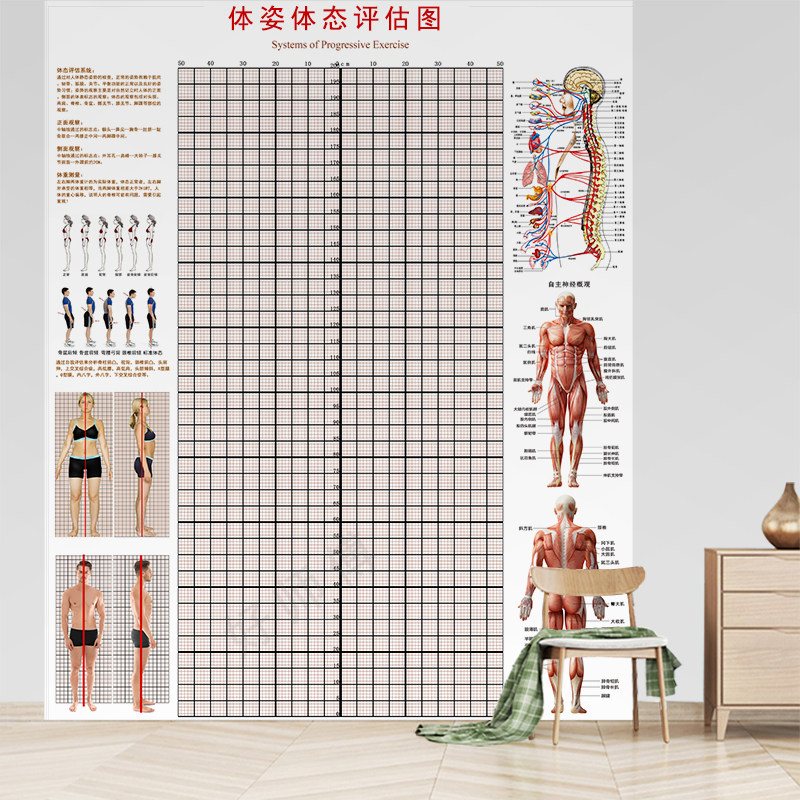 评估现货体态健身房私教体测姿势校正正表瑜伽定制壁画