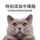 paddytime most pet cat snack bar cat kitty kitten hair nutrition bars gills wet cat food to fatten 10g12 support paddytime most pet cat snack bar cat kitty kitten hair nutrition bars gills wet cat food to fatten 10g12 support